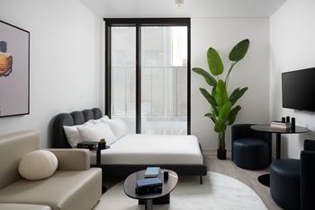 A living room with a large window, a sofa, a coffee table, and a plant.